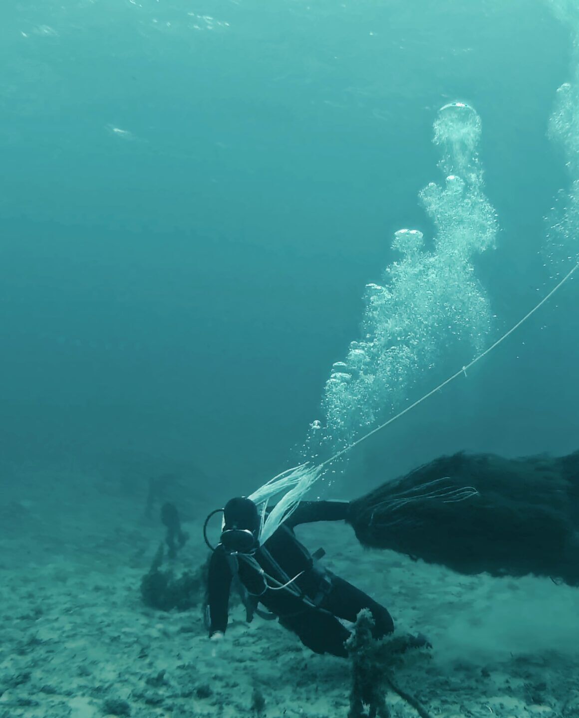 Working the seaweed beds