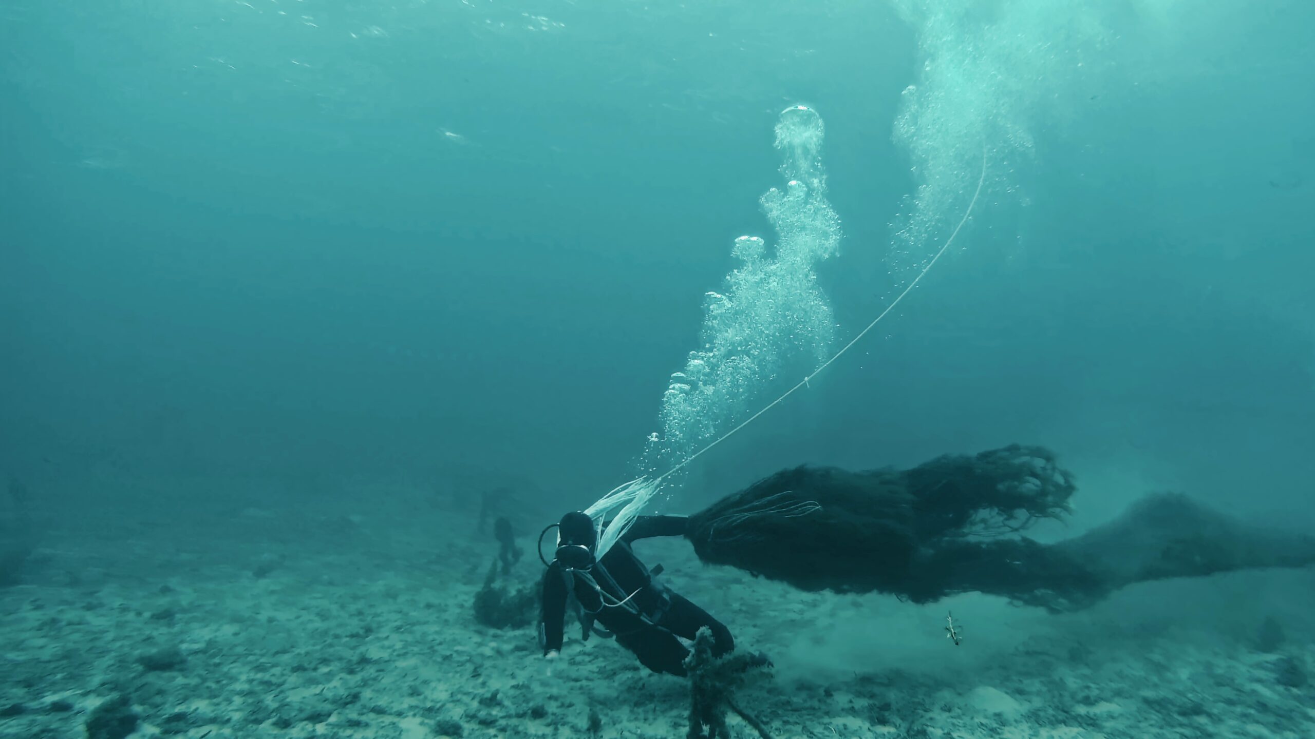 Working the seaweed beds